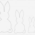 Vorlage Hase Großartig Die Besten 25 Vorlage Hase Ideen Auf Pinterest