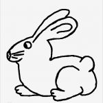 Vorlage Hase Großartig Ostern Malvorlagen