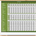 Vorlage Haushaltsbuch Fabelhaft 9 Kniffel Vordruck Excel