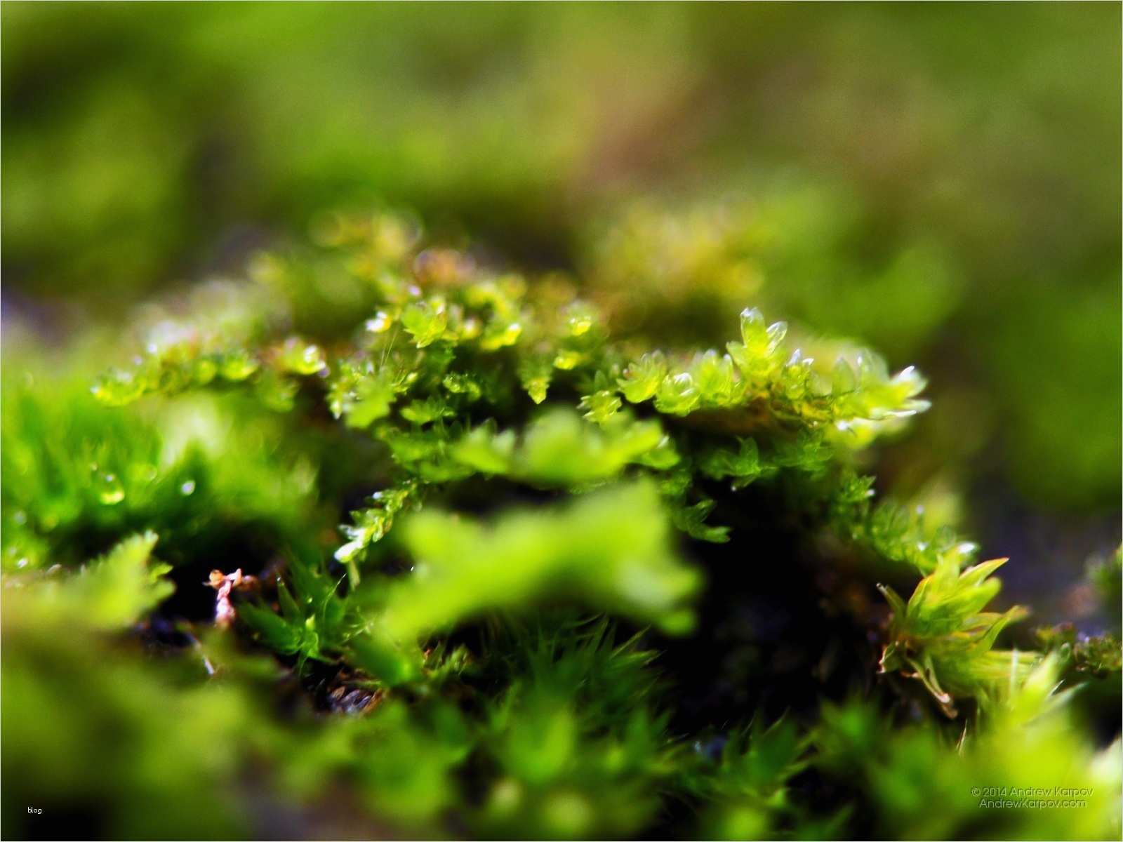 Vorlage Investitionsplan Download Kostenlos Erstaunlich 1600 X 1200 Weltreisen Freizeit Reisefotografie Kostenlose