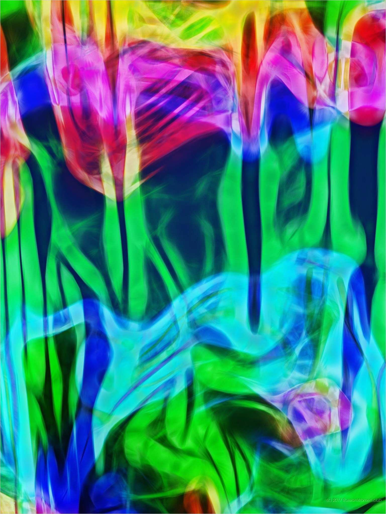 Vorlage Investitionsplan Download Kostenlos Wunderbar 1536 X 2048 Bunte Tapete Hd Schöne Hintergrundbilder