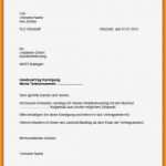 Vorlage Kündigung Verein Cool 8 ündigungs Muster