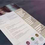 Vorlage Lebenslauf 2017 Kostenlos Cool topdesign24