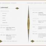 Vorlage Lebenslauf 2017 Kostenlos Schön 19 Lebenslauf Vorlage Kostenlos Vorlagen123 Vorlagen123