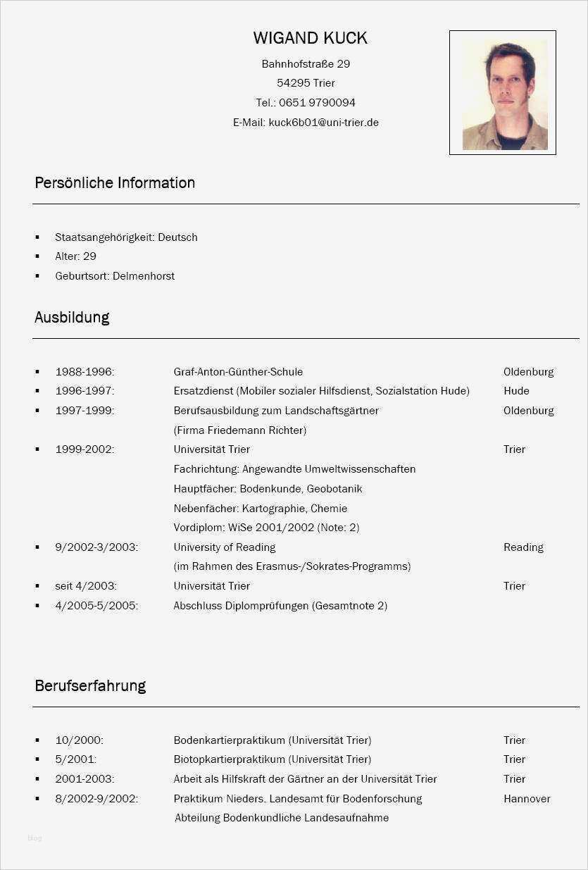 Vorlage Lebenslauf Ausbildung Bewundernswert Bewerbung
