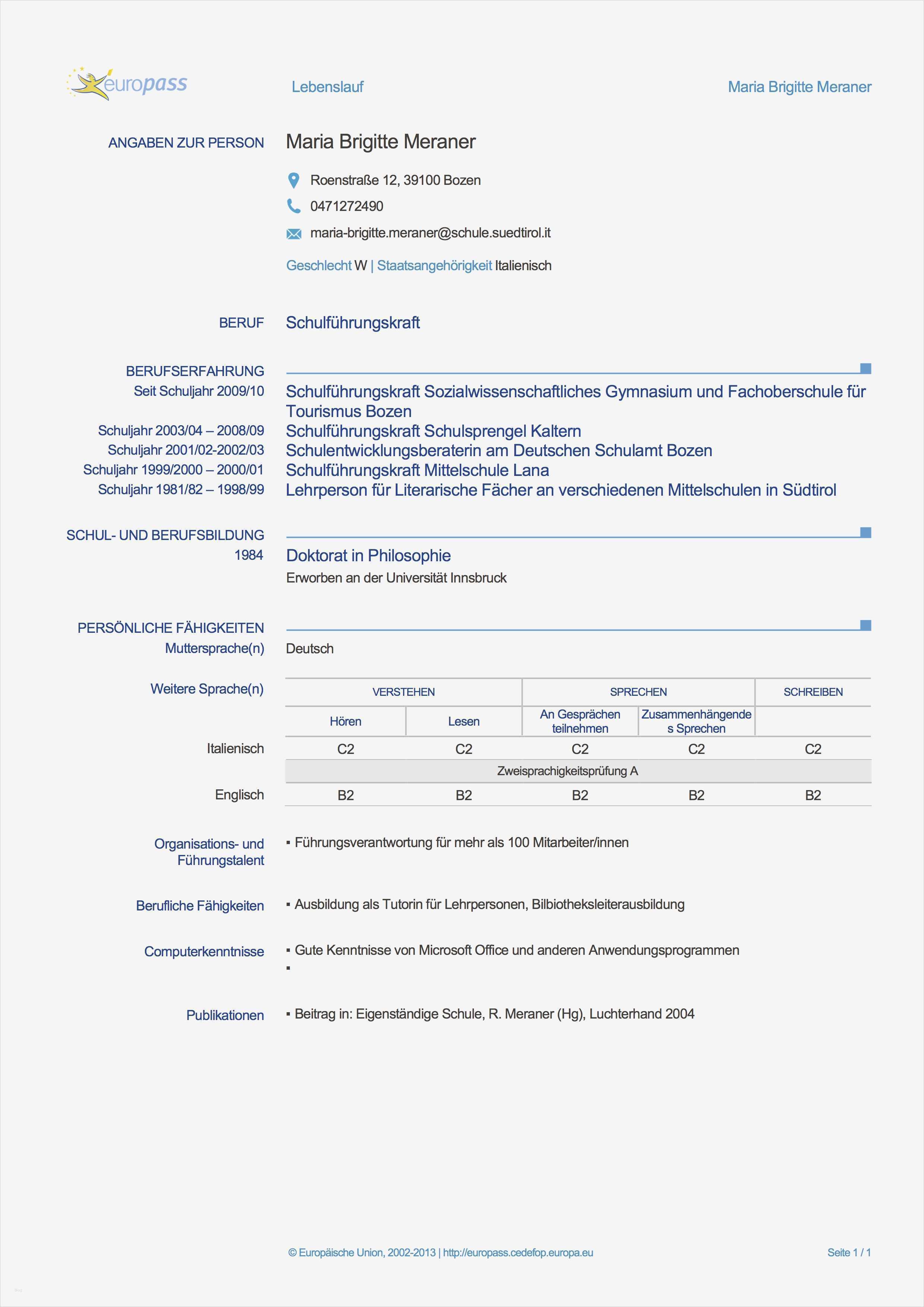 Vorlage Lebenslauf Führungskraft Genial Nett Lebenslauf Der Führungskraft Ideen Entry Level