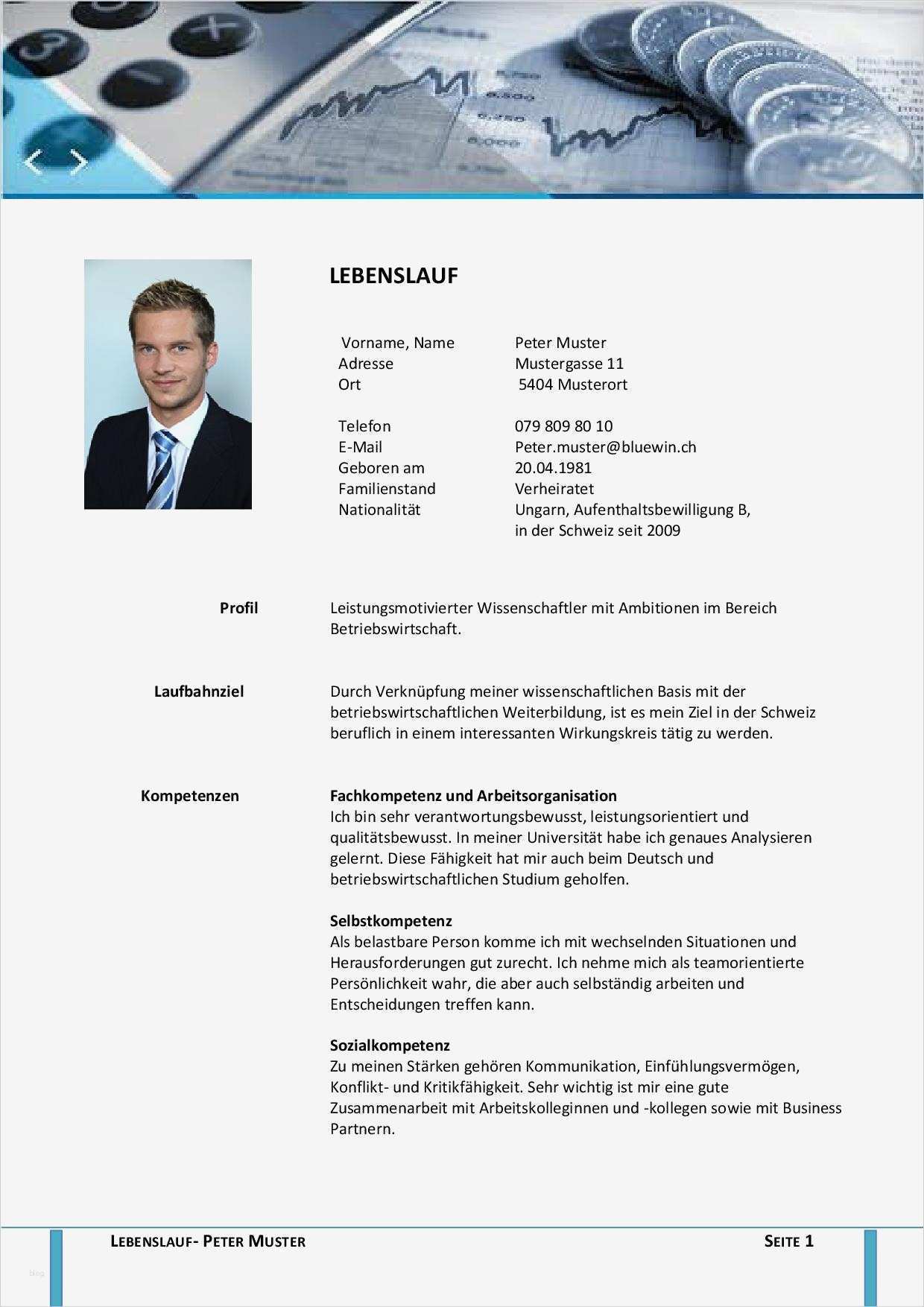 Vorlage Lebenslauf Führungskraft Schönste Bewerbungsbeispiele Romei Coaching Mentaltraining