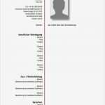 Vorlage Lebenslauf Kostenlos Angenehm Lebenslauf Vorlage Schweiz