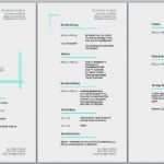 Vorlage Lebenslauf Kostenlos Bewundernswert Gemütlich Kostenloser Lebenslauf Vorlage Herunterladen