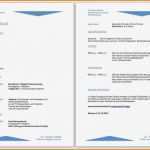 Vorlage Lebenslauf Kostenlos Elegant 11 Vorlage Lebenslauf Kostenlos