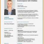 Vorlage Lebenslauf Kostenlos Erstaunlich 11 Vorlage Lebenslauf Kostenlos