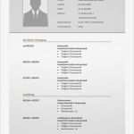 Vorlage Lebenslauf Kostenlos Erstaunlich Lebenslauf Vorlage 28 Bewerbungsschreiben