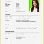 Vorlage Lebenslauf Open Office Erstaunlich 13 Praktikum Lebenslauf