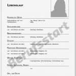 Vorlage Lebenslauf Schüler Fabelhaft Lebenslauf Vorlage Zum Ausfüllen Inspiration Lebenslauf