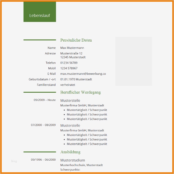 Vorlage Lebenslauf Word Einzigartig 12 Word Lebenslauf Vorlage