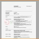 Vorlage Lebenslauf Word Kostenlos Elegant 9 Lebenslauf Vorlage Word Kostenlos