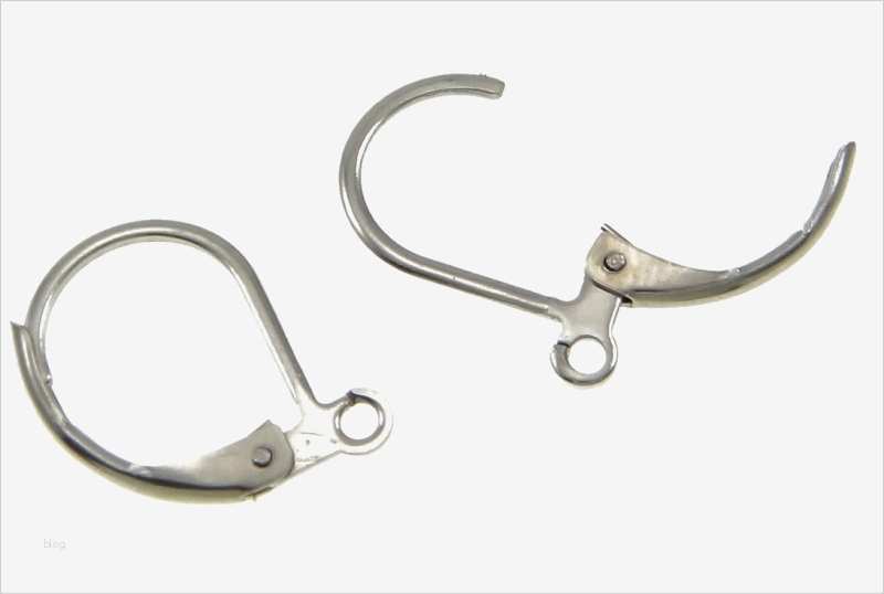 Vorlage Leitz Rückenschilder Best Of 10 Edelstahl 304 Ohrhaken Ohrstecker Ohr Verschluss Silber