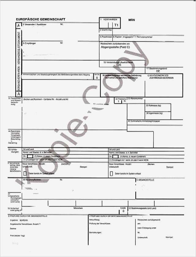 Vorlage Lieferantenerklärung Fabelhaft Nicola Bernard Servicebüro F Außenhandelslogistik