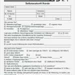 Vorlage Löschung Schufa Eintrag Erstaunlich Wohnung Selbstauskunft Das Wohnung Selbstauskunft Student