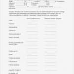 Vorlage Löschung Schufa Eintrag Schönste Wohnung Selbstauskunft Das Wohnung Selbstauskunft Student