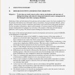 Vorlage Management Summary Luxus Fantastisch Executive Review Vorlage Bilder Ideen