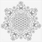 Vorlage Mandala Bewundernswert Ausmalbilder Für Erwachsene Zum Ausdrucken 30 Schöne