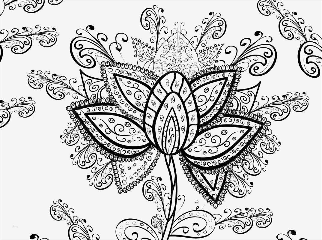 Vorlage Mandala Neu Malvorlagen Mandala