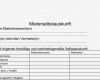 Vorlage Mieterselbstauskunft Schön Groß Par Q formularvorlage Bilder Entry Level Resume