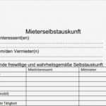 Vorlage Mieterselbstauskunft Schön Groß Par Q formularvorlage Bilder Entry Level Resume