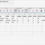 Vorlage Nebenkostenabrechnung Haus Und Grund Großartig Ziemlich Grund P Und L Vorlage Fotos Bilder Für Das