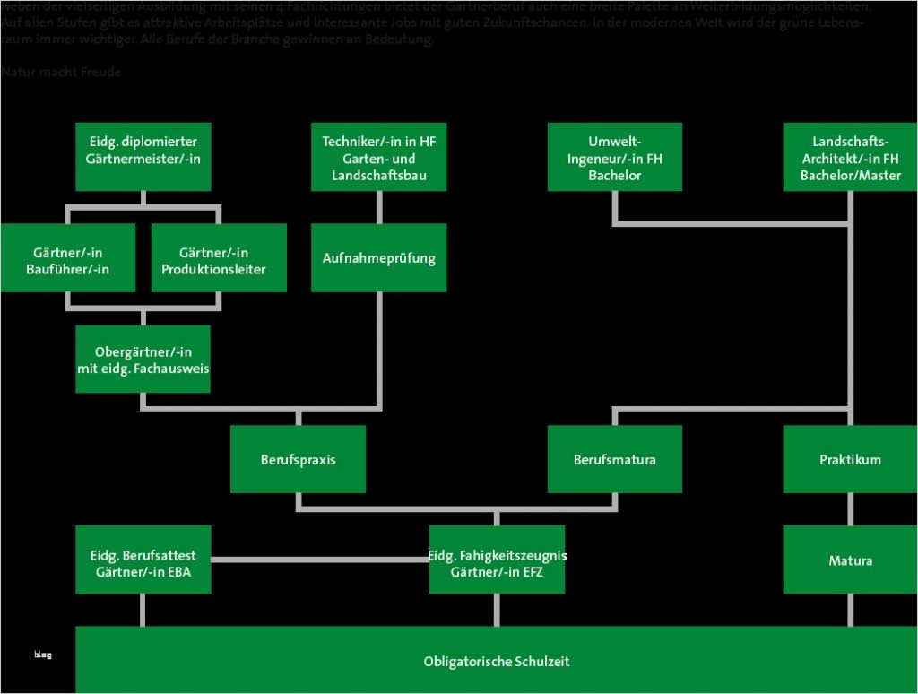 63 Best Of Vorlage organigramm Galerie 1 Vorlage organigramm Beste Erfreut Vorlage organigramm Zeitgenössisch Beispiel