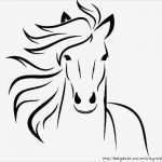 Vorlage Pferdekopf Bewundernswert Pferdebilder Ausmalen Pferdeköpfe Ausmalbilder