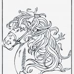 Vorlage Pferdekopf Einzigartig Vorlage Pferdekopf Az Ausmalbilder