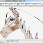 Vorlage Pferdekopf Einzigartig Wie Macht Man Mit Gimp Den Perfekten Kopf