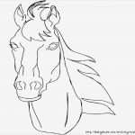 Vorlage Pferdekopf Genial Pferdekopf Vorlage