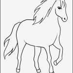 Vorlage Pferdekopf Schönste Lovely Window Color Malvorlagen Kostenlos Pferde Muster