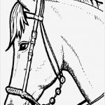 Vorlage Pferdekopf Schönste Pferde Ausmalbilder 21