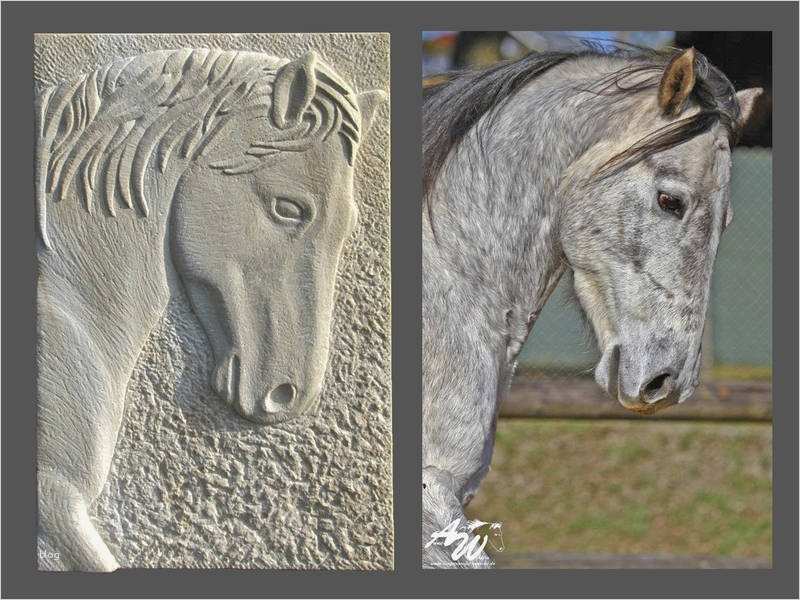 Vorlage Pferdekopf Wunderbar Ideen In Sandsteinml