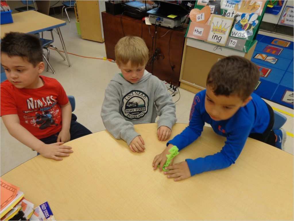 Vorlage Portfolio Kindergarten Neu Stem is Growing at Mary D Lang Kindergarten Center Mary D