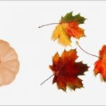 Vorlage Preisliste Getränke Beste Bio Kantine Mittagsspitze Vaude Werksverkauf