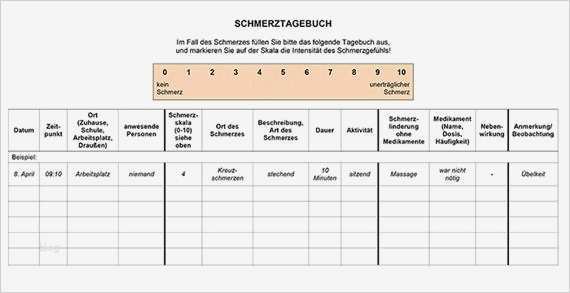Vorlage Schmerztagebuch Hübsch Neurologische Regulierung Humaner Lebensprozesse – Vom