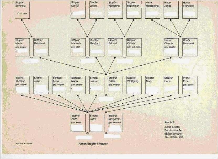 Vorlage Stammbaum Cool Stopferbedia Stammbaum