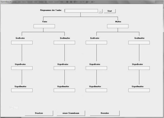 Vorlage Stammbaum Erstaunlich Stammbaum Vorlage Pdf Elegant tolle Stammbaum Bildet