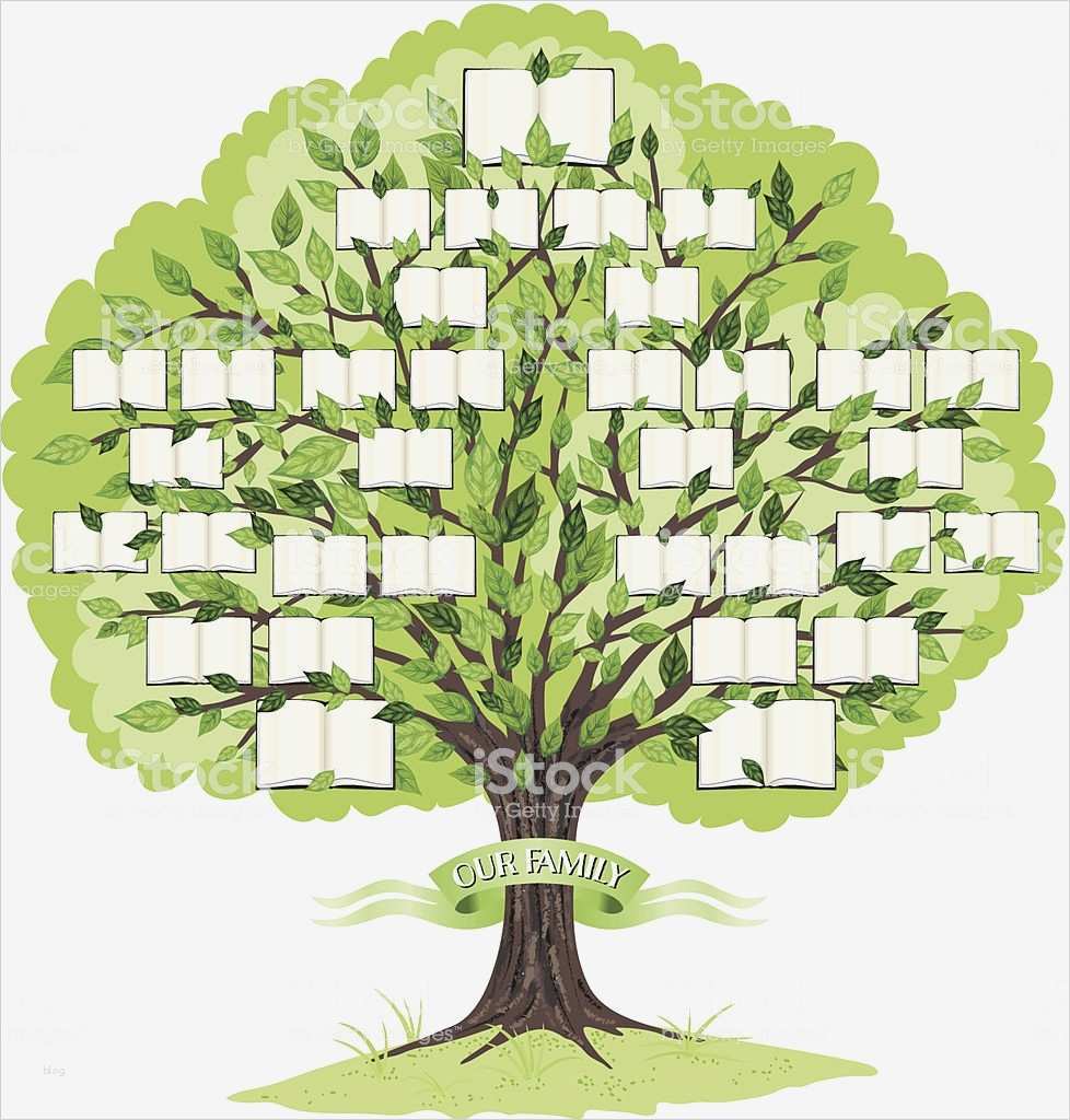 Vorlage Stammbaum Erstaunlich Stammbaumvorlage Vektor Illustration