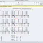 Vorlage Stammbaum Excel Erstaunlich tolle Excel Vorlage Stammbaum Galerie Ideen fortsetzen
