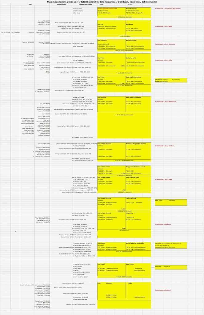 Vorlage Stammbaum Excel Großartig Großzügig Leicht Stammbaum Arbeitsblatt Bilder Mathe