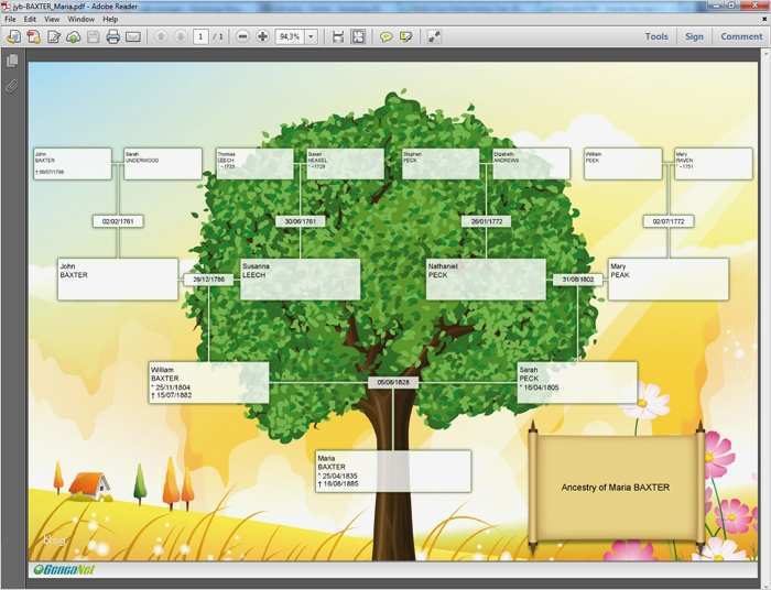 Vorlage Stammbaum Kostenlos Zum Ausdrucken Fabelhaft Geneanet Telecaricare E Stampare A Gratis Un Bellissimo