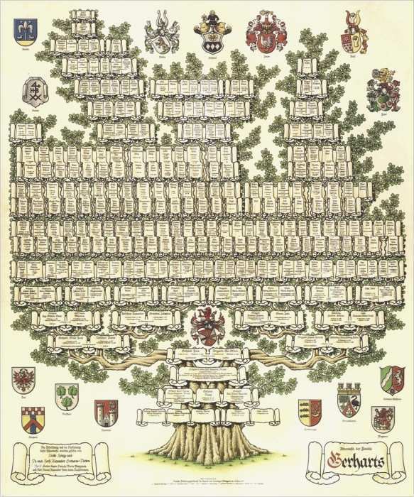 Vorlage Stammbaum Luxus Wir Erstellen Ihre Ahnentafel Pro Heraldica