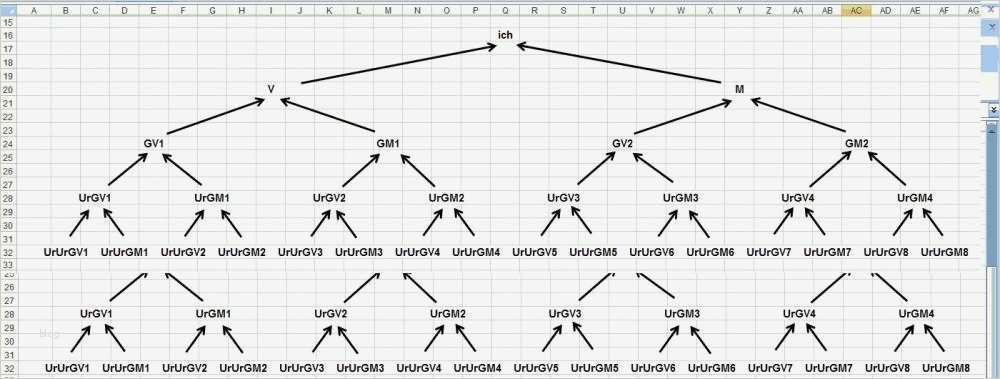 Vorlage Stammbaum Schönste Stammbaum Mit Word Oder Excel