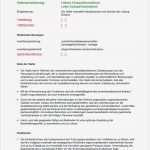 Vorlage Stellenbeschreibung Erstaunlich Stellenbeschreibung Einkaufinnen Nstleiter In sofort